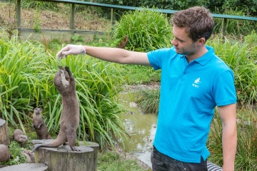 Otter talks.jpg